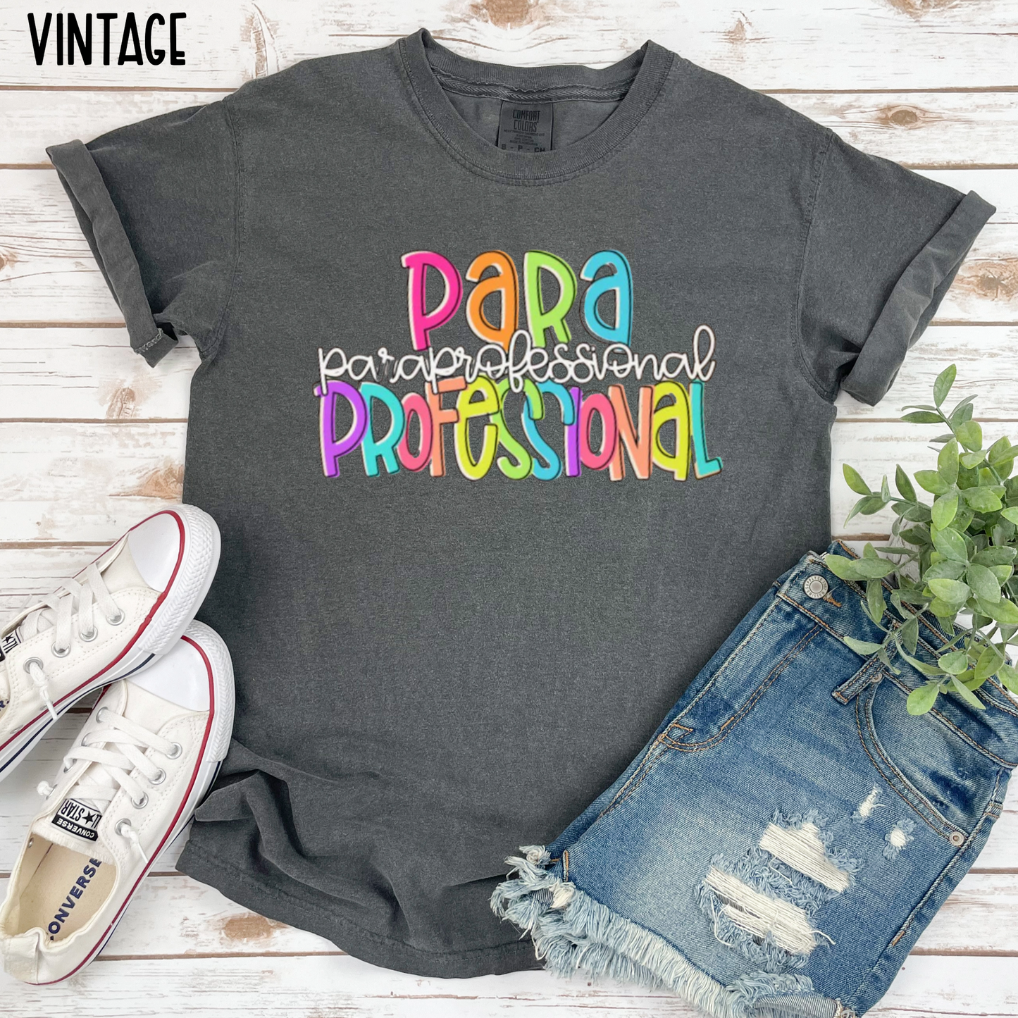 Paraprofessional Colorful