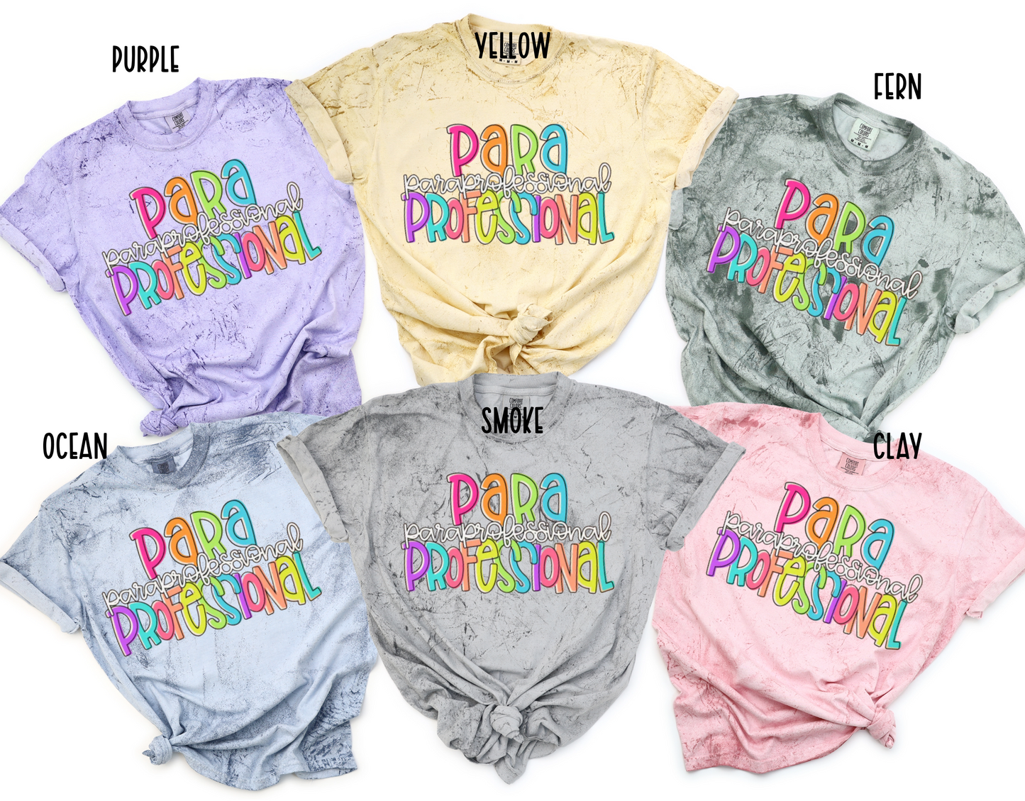 Paraprofessional Colorful