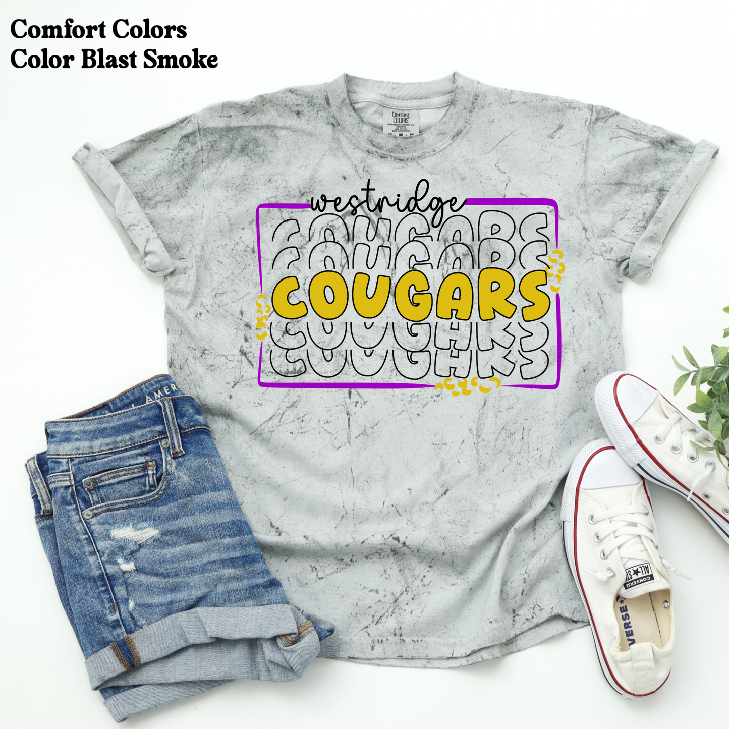 Westridge Middle School *chooose your graphic