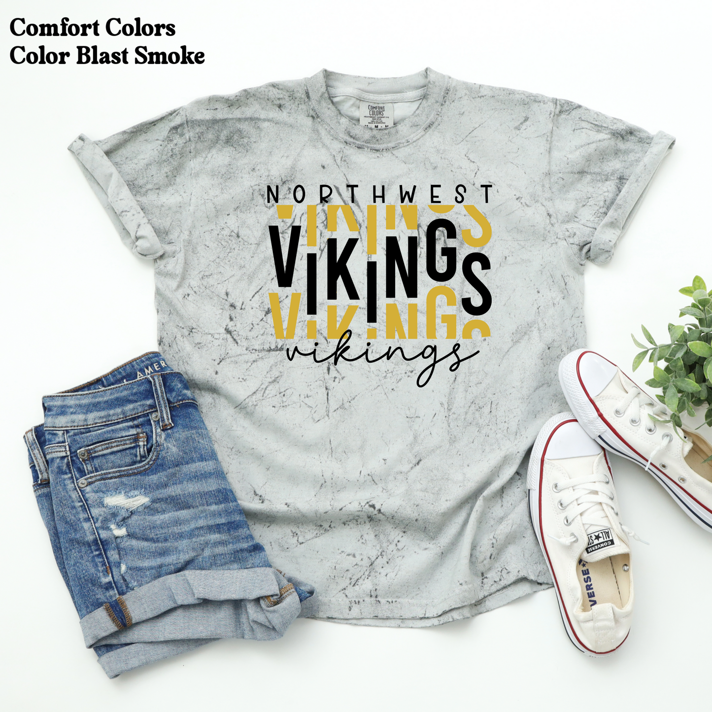 Northwest Vikings