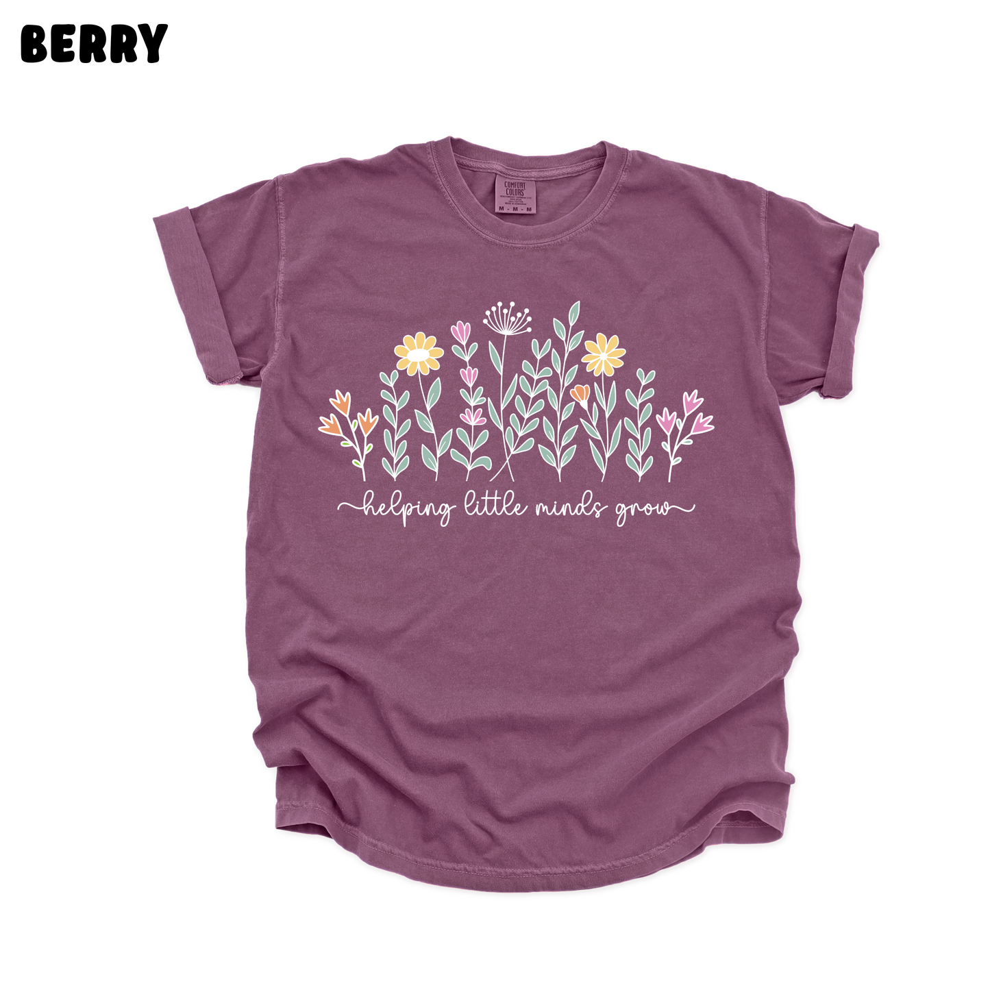 Helping Little Minds Grow