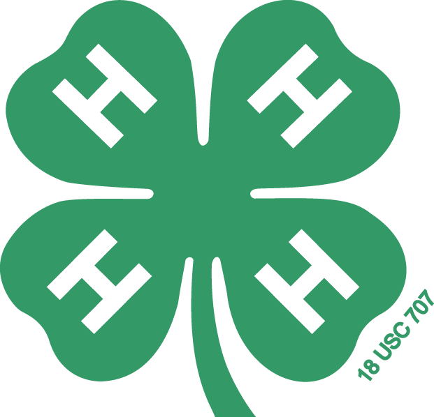 4H