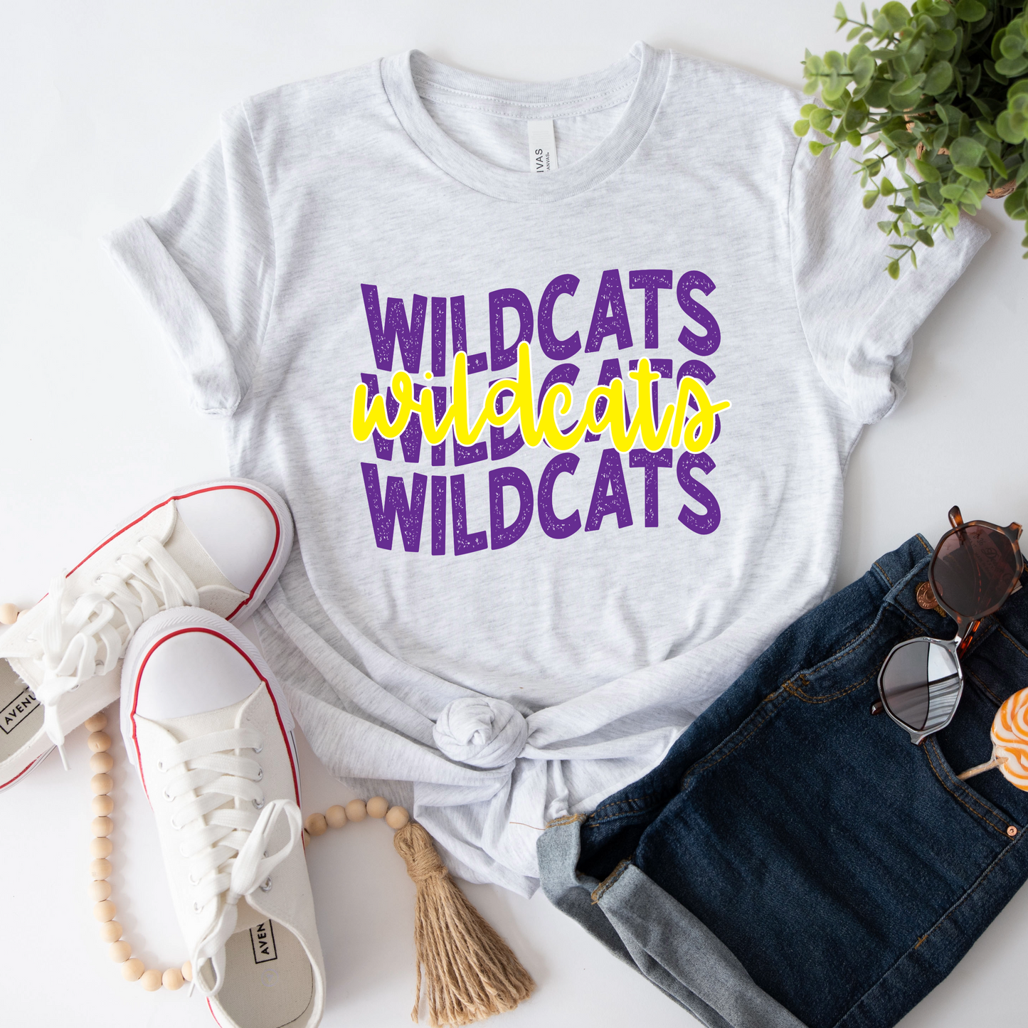 GIPS Elementary School Mascot Shirts