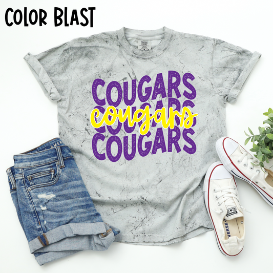GIPS Middle School Mascot Shirts