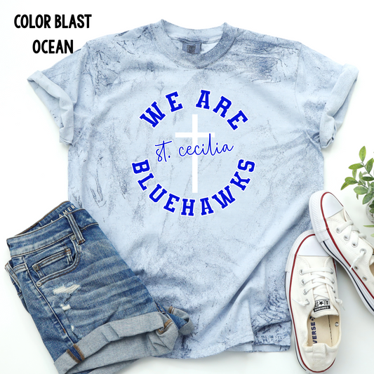 We are Bluehawks
