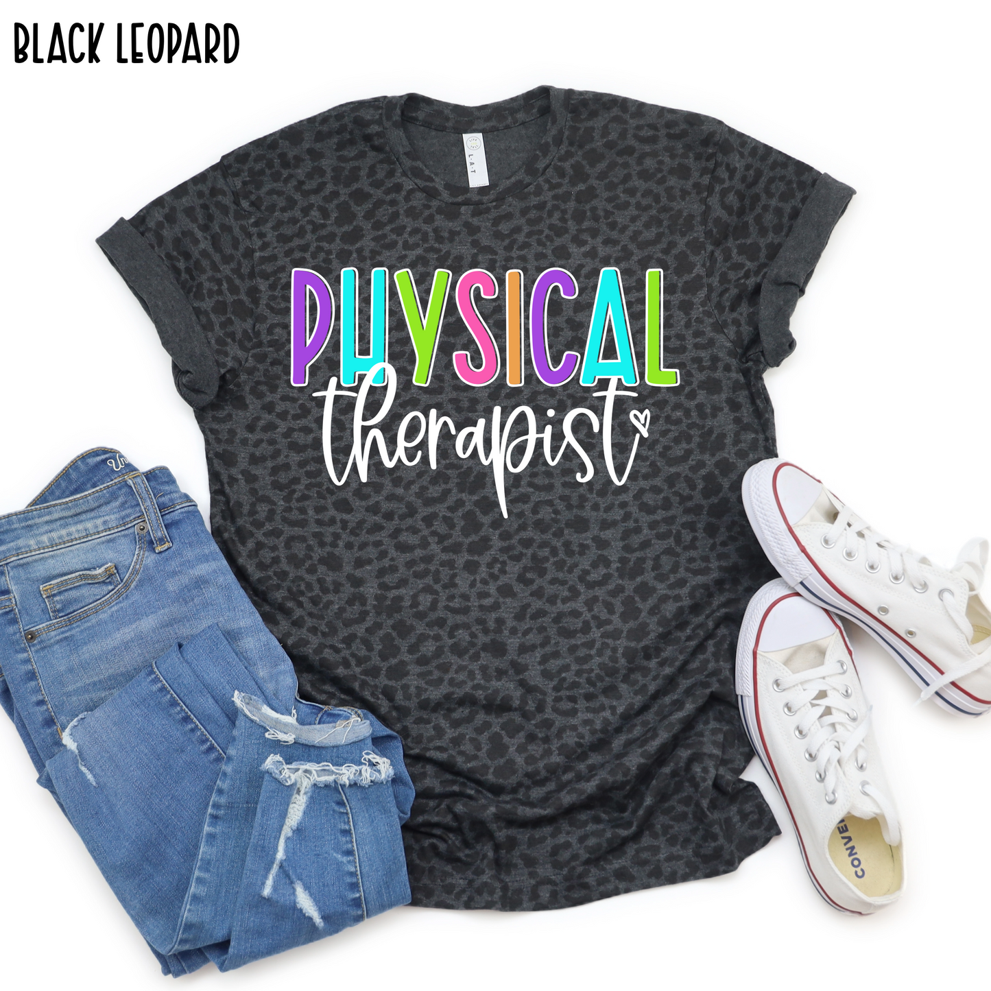 Physical Therapist