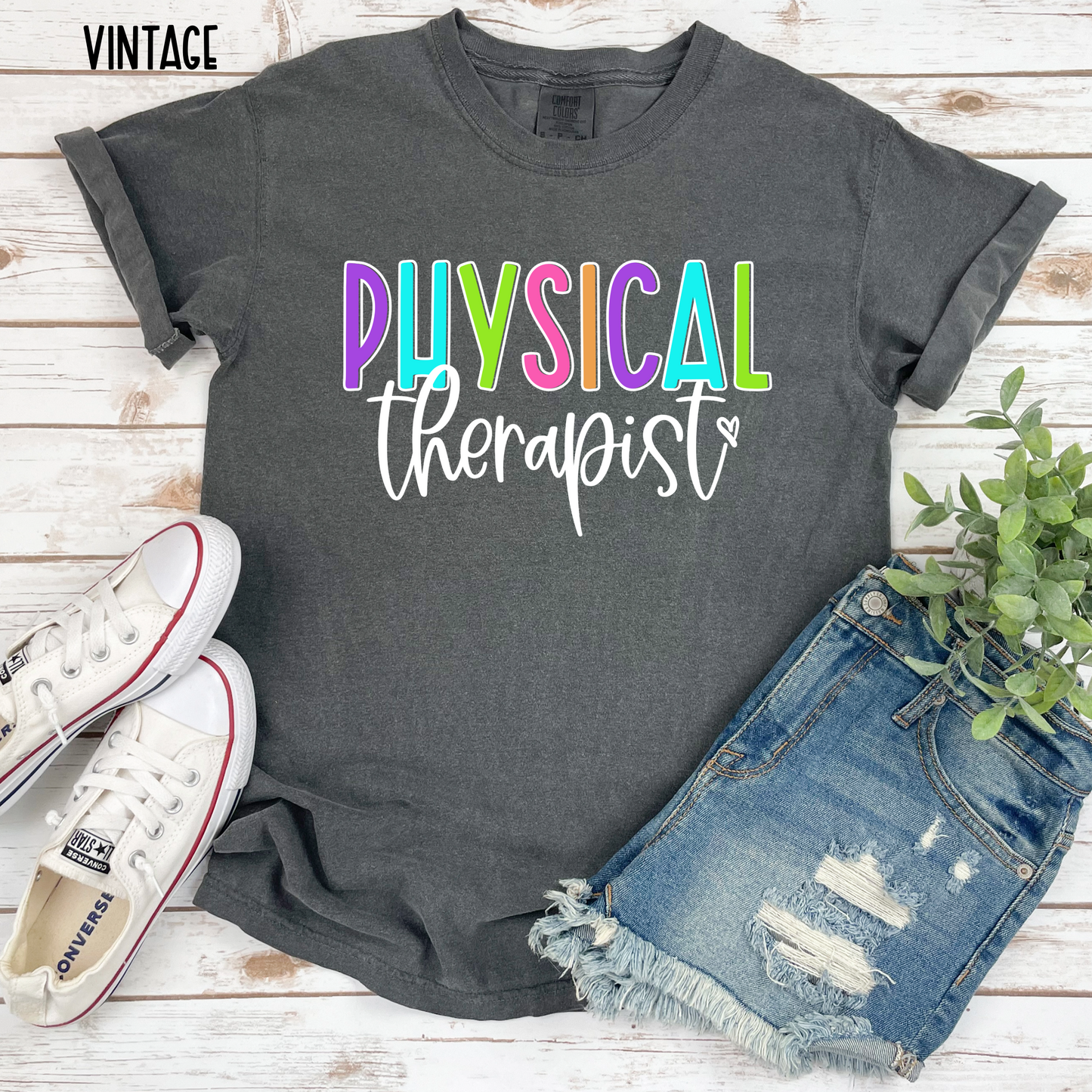 Physical Therapist