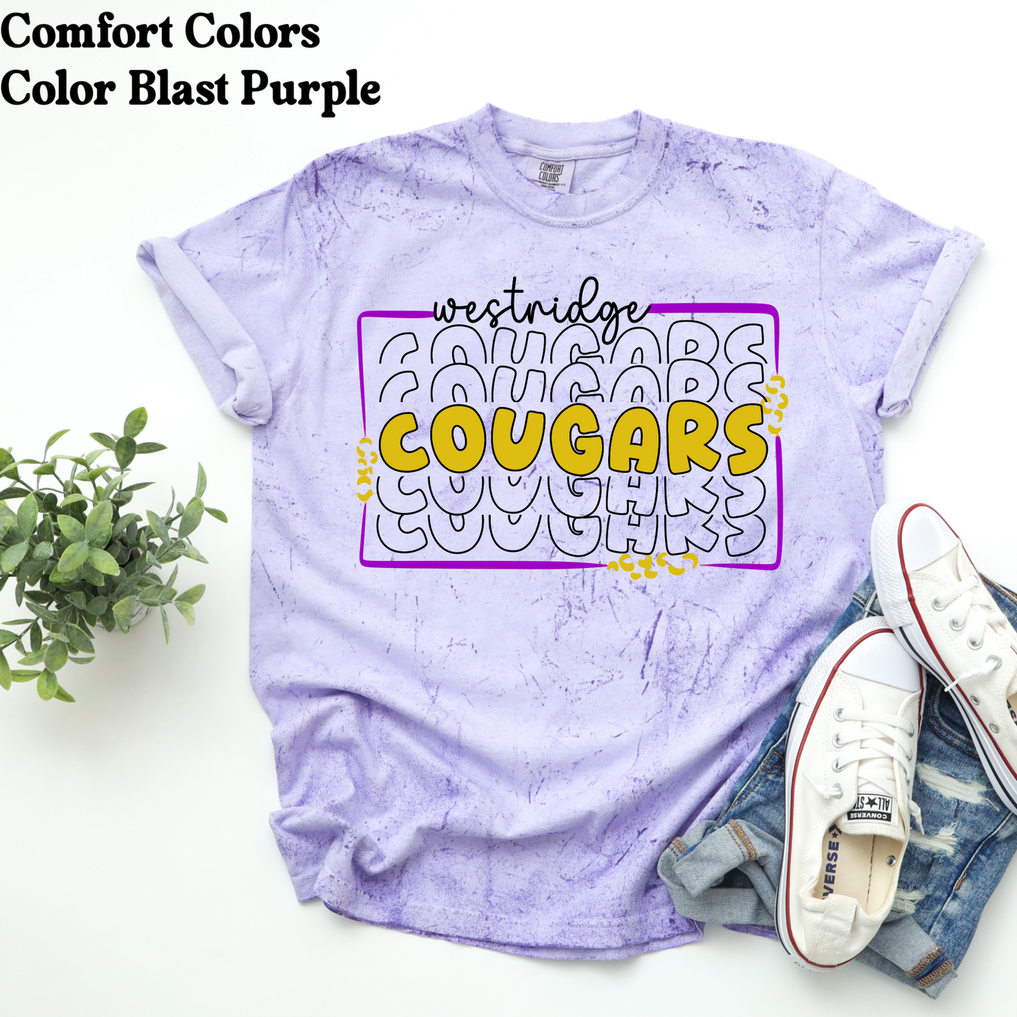 Westridge Middle School *chooose your graphic
