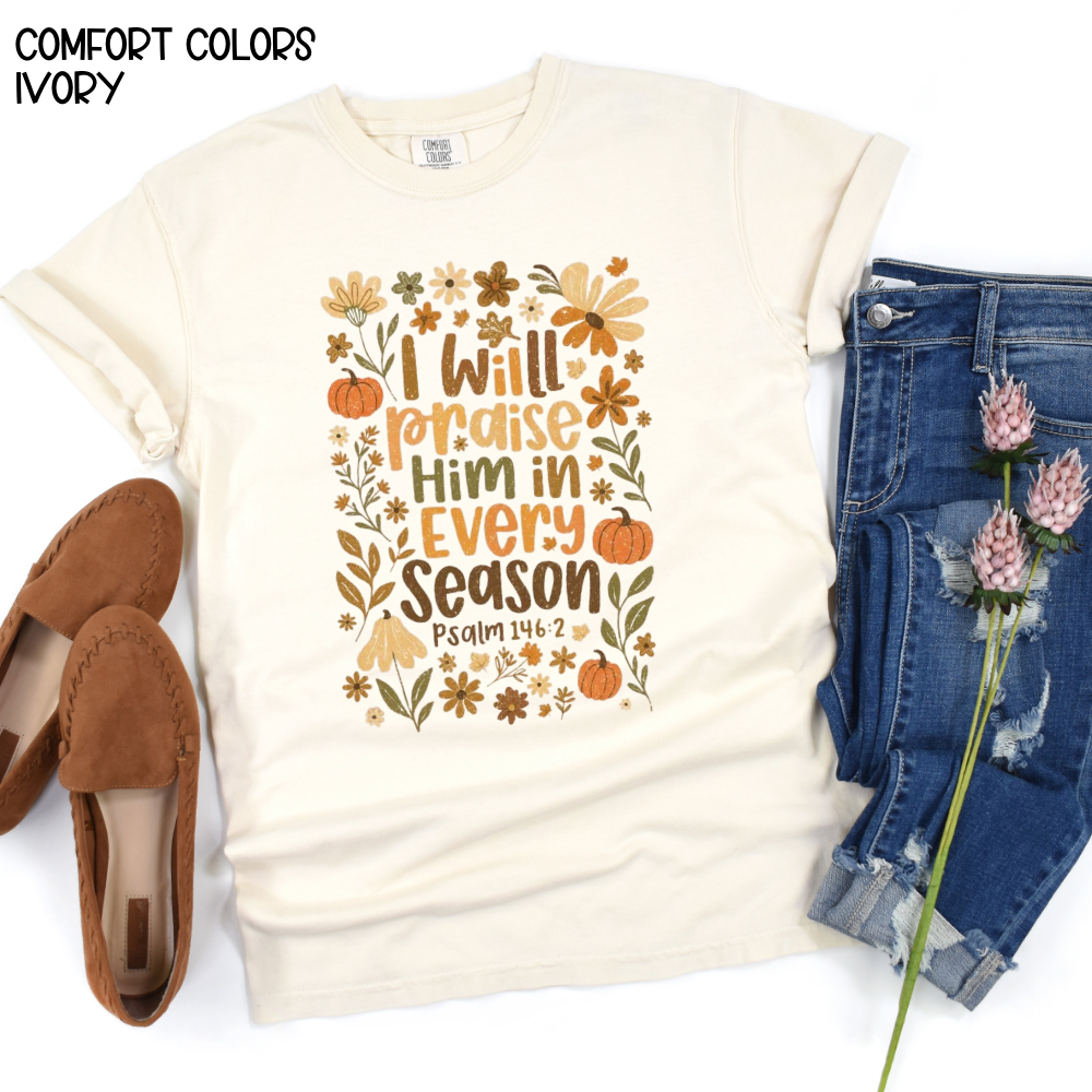 Fall Graphics