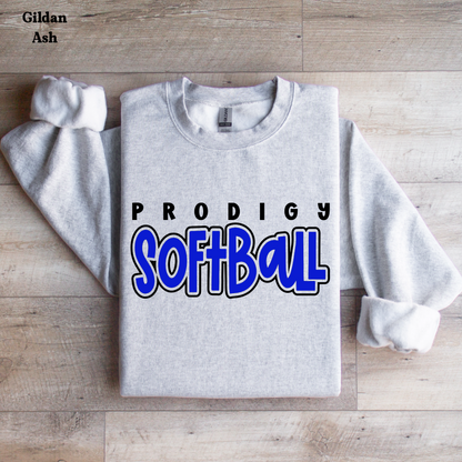 Choose Your Team Softball - Grand Island