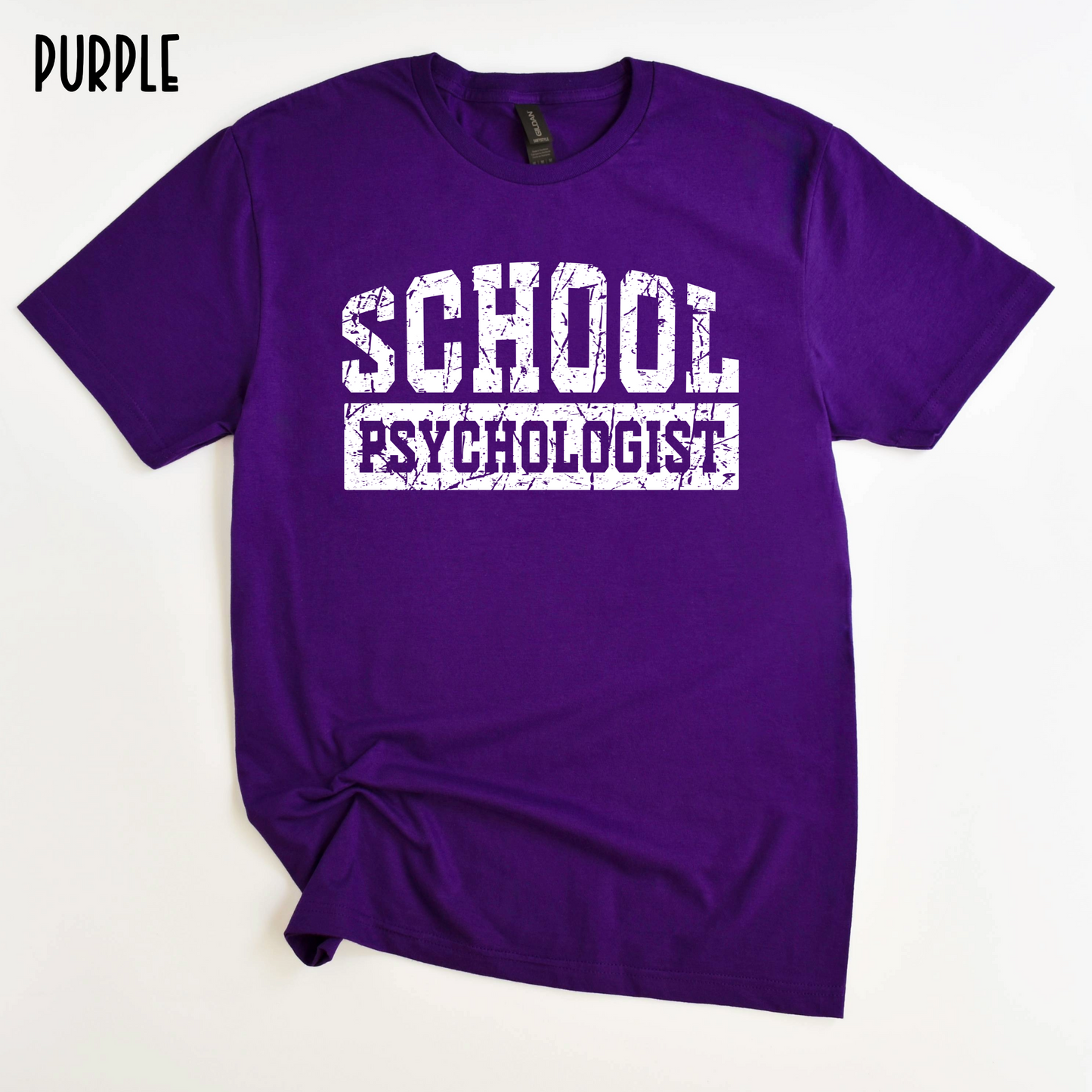 School Psychologist